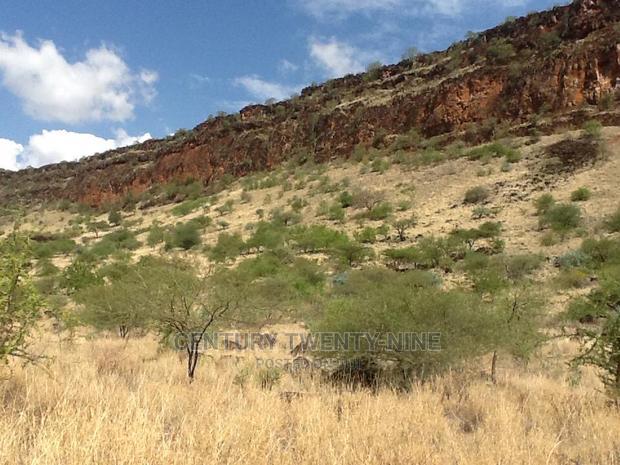 Kwenia Rupell Vulture Sanctuary Site