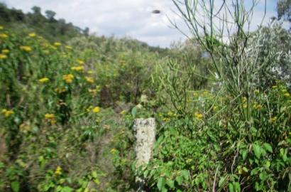 Kekopey Land Sale of 10 Acres