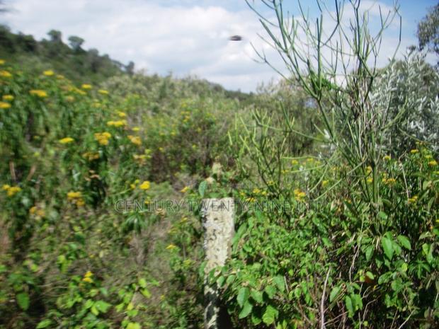 Kekopey Land Sale of 10 Acres