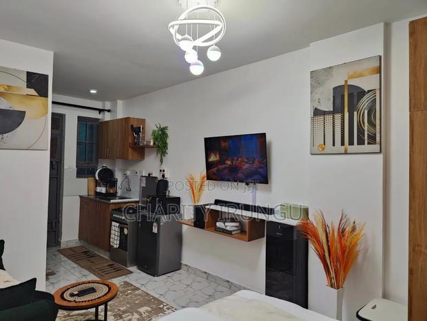 Furnished 1bdrm Bedsitter in South B for rent
