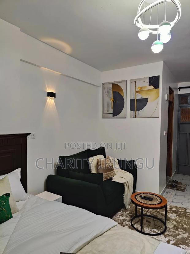 Furnished 1bdrm Bedsitter in South B for rent