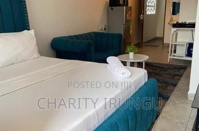 Furnished 1bdrm Apartment in Sanasana Area, South B for rent