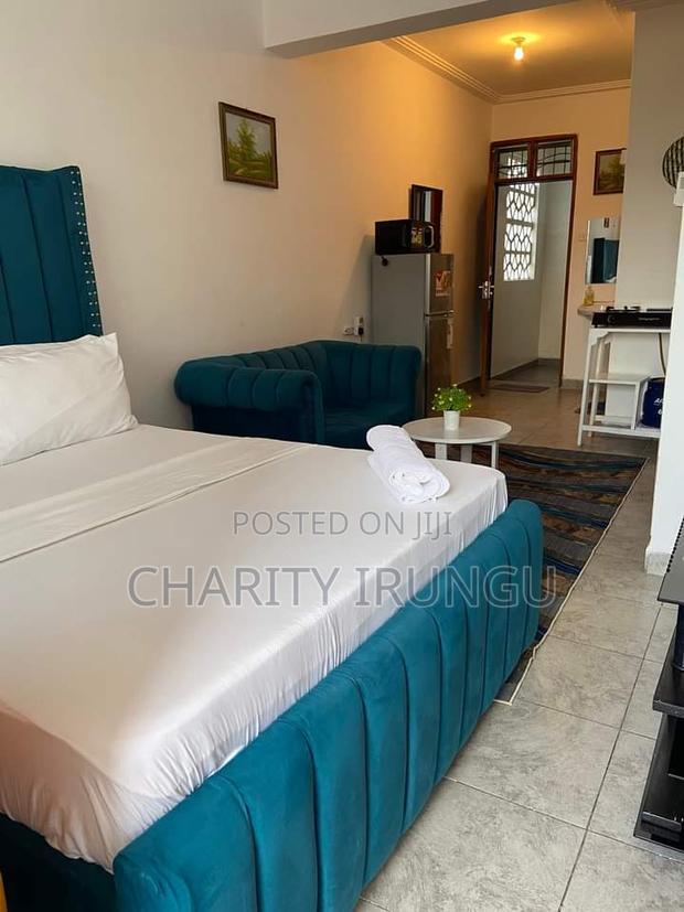 Furnished 1bdrm Apartment in Sanasana Area, South B for rent