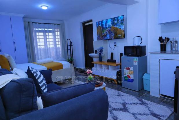 Furnished 1bdrm Apartment in Attic Place, South B for rent