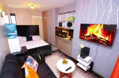 Furnished 1bdrm Bedsitter in Plainsview, South B for rent