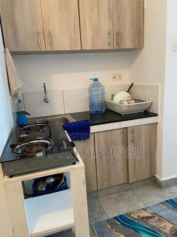 Furnished 1bdrm Apartment in Sanasana Area, South B for rent
