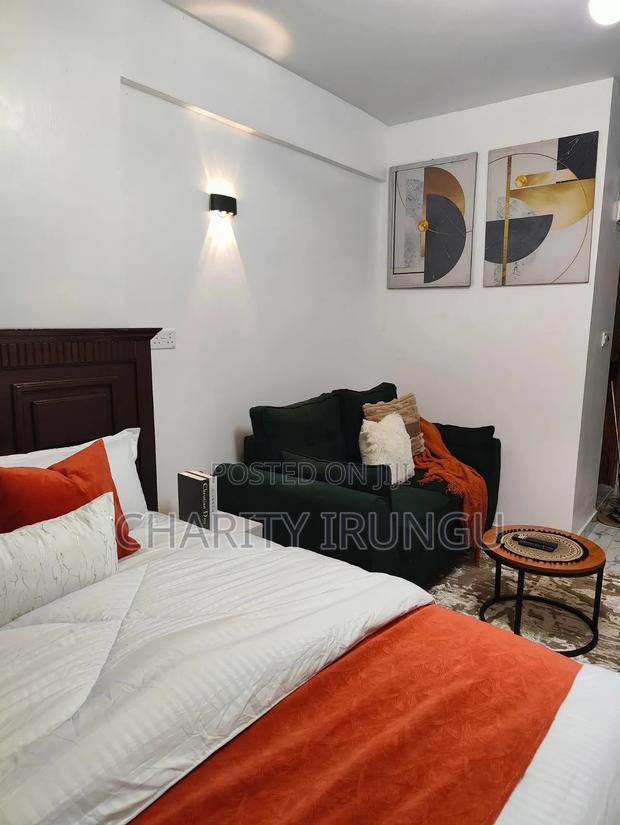 Furnished 1bdrm Bedsitter in South B for rent