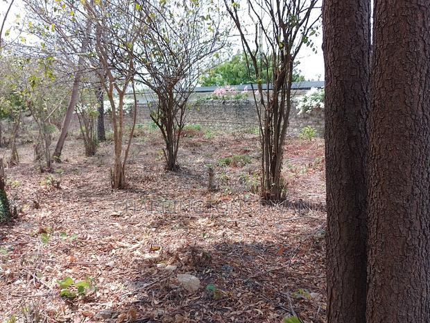 3/4 Acre Plot Near Simba Oryx - Diani | Kshs.10m Per 1/4