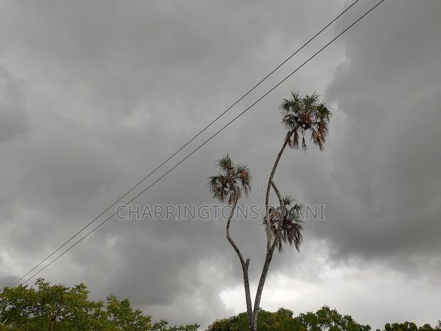 50x100 Mid-Lot Plot - Kombani, Bowa School Area