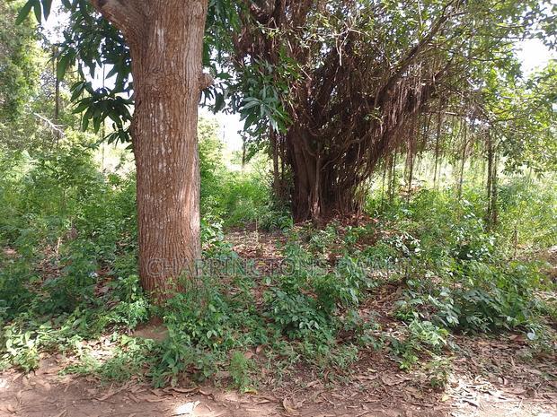 5 Acres Corner Plot in Mabriver, Tiwi- Kombani