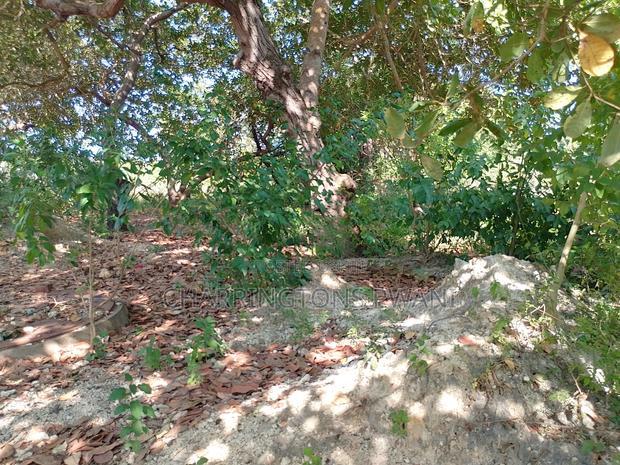 For Sale: Half Acre Corner Plot Along Mvindeni Road.