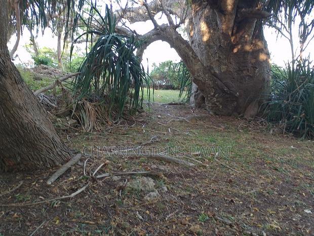 4.5-Acre Prime Beachfront Plot - Diani CBD | EUR1.6 Million