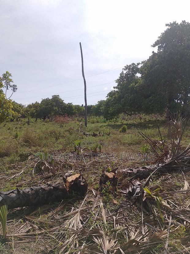 For Sale: 6.5 Acres for Sale in Mwabungo, Midlot