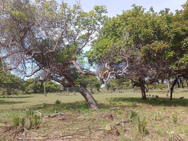 For Sale: 6.5 Acres for Sale in Mwabungo, Midlot