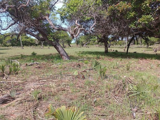 For Sale: 6.5 Acres for Sale in Mwabungo, Midlot