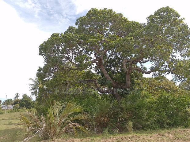 5 Acres Corner Plot in Mabriver, Tiwi- Kombani
