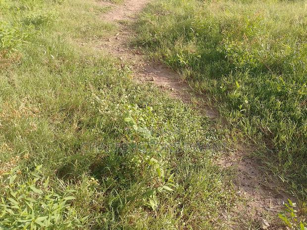 For Sale:0.75 Acres Within a 150metre Radius of Shelly Beach