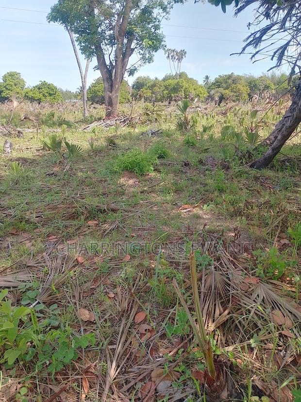 For Sale: 6.5 Acres for Sale in Mwabungo, Midlot