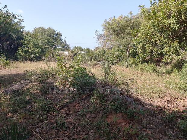 For Sale: Half Acre Corner Plot Along Mvindeni Road.