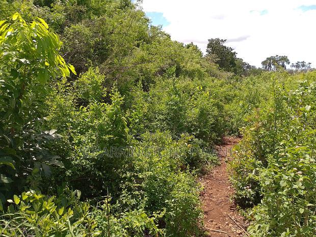 2-Acre Mid-Lot Behind Bora Bora Wildlife Park 5m Per Acre