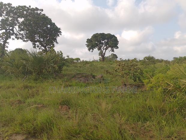 3 Acres in Mbuwani