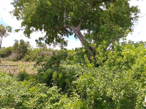 2-Acre Mid-Lot Behind Bora Bora Wildlife Park 5m Per Acre