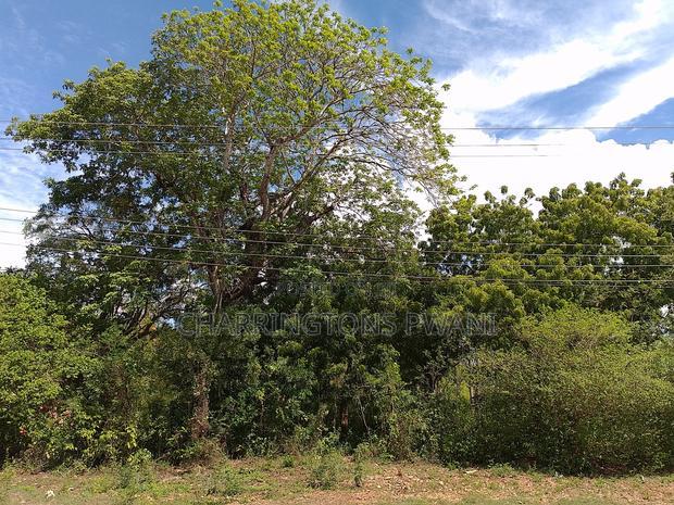 4 Acres, Along Diani Beach Road, 2nd Row