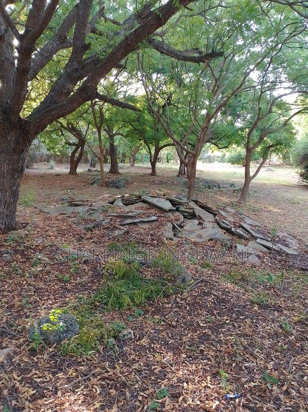 4.5-Acre Prime Beachfront Plot - Diani CBD | EUR1.6 Million