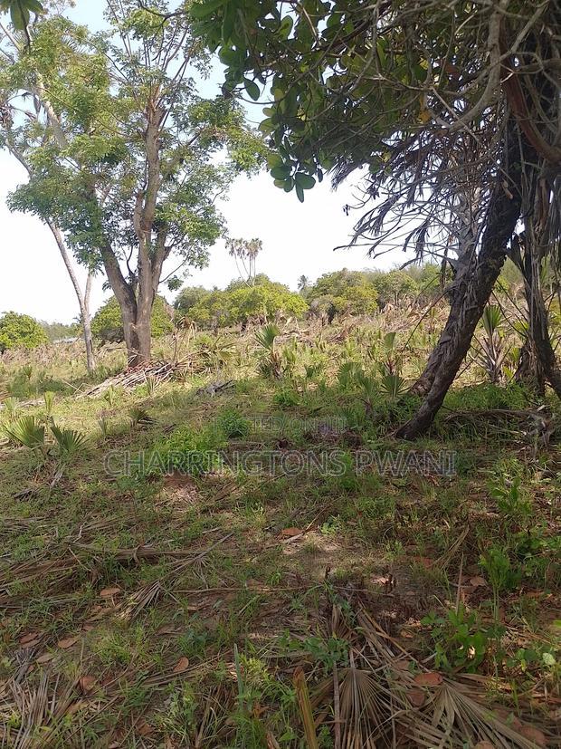 For Sale: 6.5 Acres for Sale in Mwabungo, Midlot