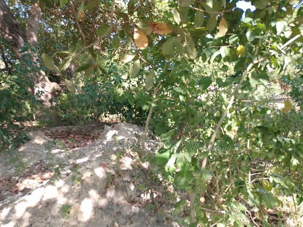 For Sale: Half Acre Corner Plot Along Mvindeni Road.