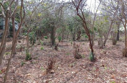 3/4 Acre Plot Near Simba Oryx - Diani | Kshs.10m Per 1/4