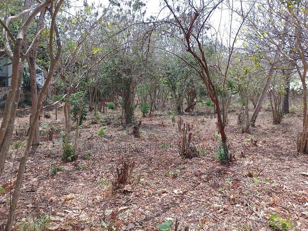 3/4 Acre Plot Near Simba Oryx - Diani | Kshs.10m Per 1/4