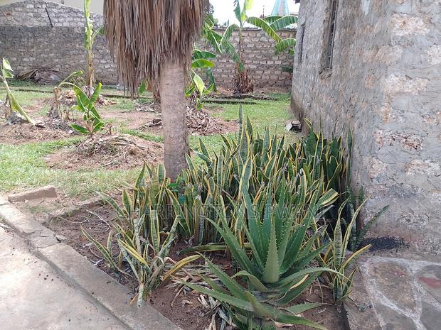 Rental Business for Sale: Ukunda Each in Rental Income.