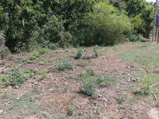 4 Acres, Along Diani Beach Road, 2nd Row