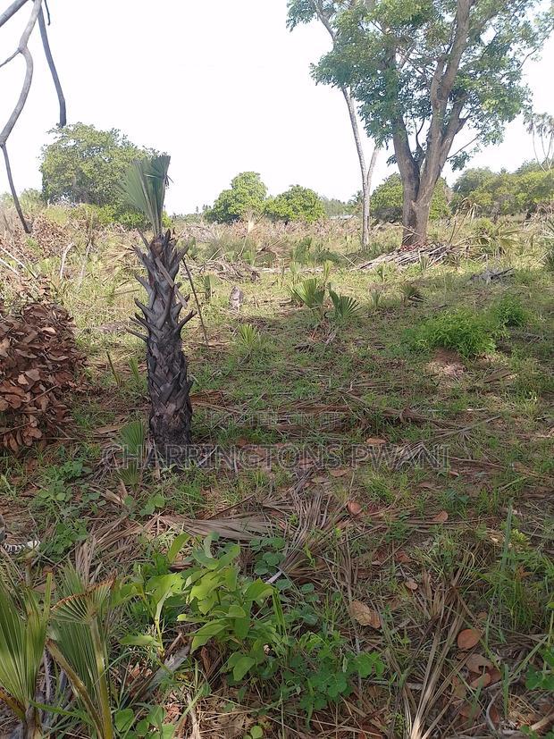For Sale: 6.5 Acres for Sale in Mwabungo, Midlot