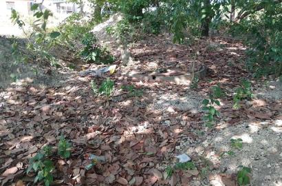 For Sale: Half Acre Corner Plot Along Mvindeni Road.