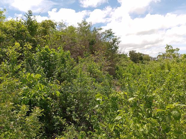 2-Acre Mid-Lot Behind Bora Bora Wildlife Park 5m Per Acre
