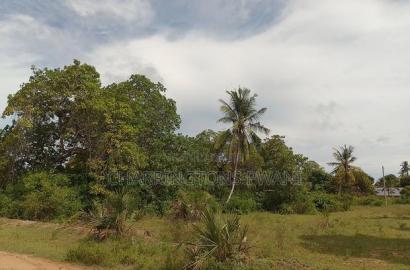 5 Acres Corner Plot in Mabriver, Tiwi- Kombani