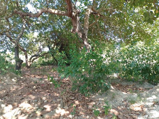 For Sale: Half Acre Corner Plot Along Mvindeni Road.