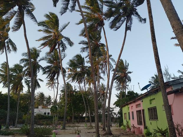 1.5 Acres Sandly Beach Plot in Shelly Beach