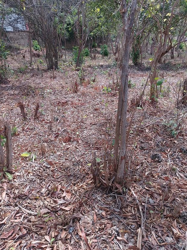 3/4 Acre Plot Near Simba Oryx - Diani | Kshs.10m Per 1/4