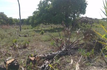 For Sale: 6.5 Acres for Sale in Mwabungo, Midlot