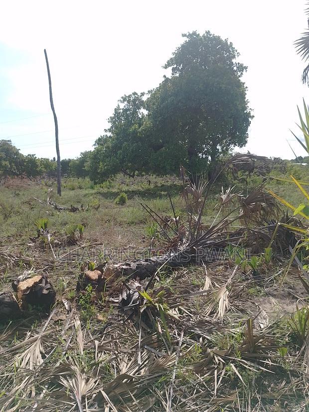 For Sale: 6.5 Acres for Sale in Mwabungo, Midlot
