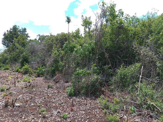 2-Acre Mid-Lot Behind Bora Bora Wildlife Park 5m Per Acre