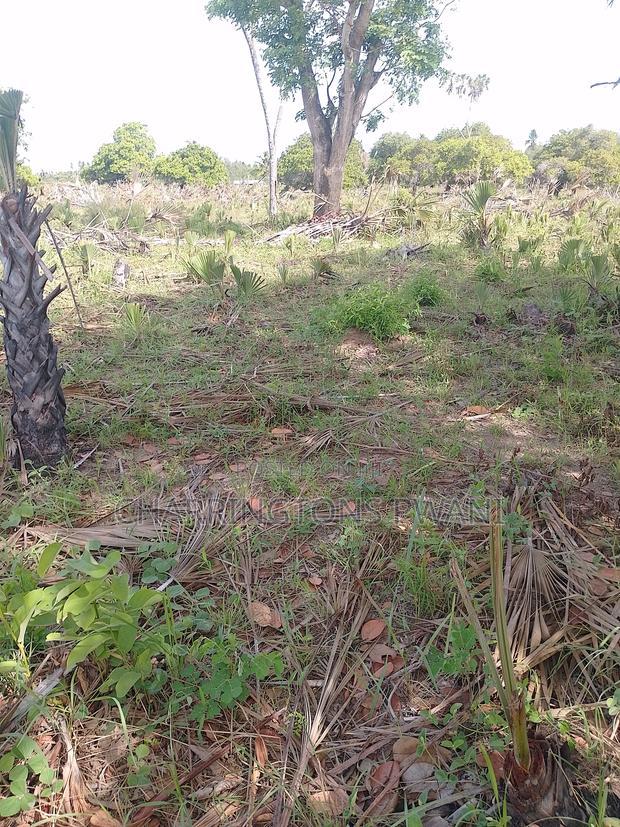 For Sale: 6.5 Acres for Sale in Mwabungo, Midlot