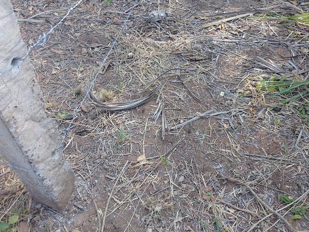 For Sale: Half Acre Corner Plot Along Mvindeni Road.