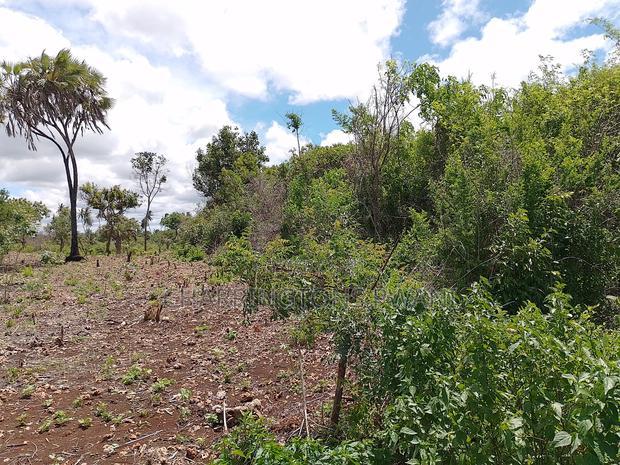 2-Acre Mid-Lot Behind Bora Bora Wildlife Park 5m Per Acre