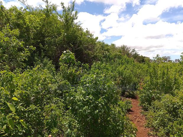2-Acre Mid-Lot Behind Bora Bora Wildlife Park 5m Per Acre