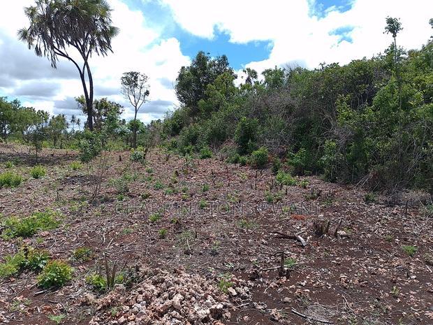 2-Acre Mid-Lot Behind Bora Bora Wildlife Park 5m Per Acre