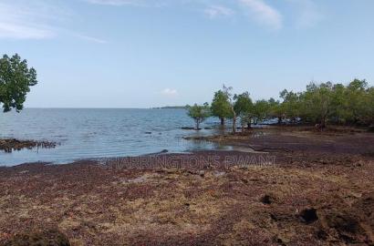 Rocky Beachfront With Sunset View in Shimoni